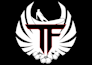 vector tracing vectorize image to vector logo convert to high resolution