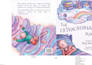 format a childrens picture book for kindle or paperback