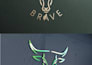 design a professional modern minimalist business logo design