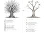 do anything as a graphic artist on adobe illustrator