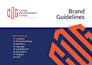 create a comprehensive brand style guide, brand guidelines, logo creation