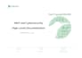 perform a security audit, eliminate vulnerabilities and protect  infrastructure