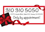 design profissional logo, brochure, folder, letterhead, business card