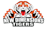 manually vector trace, recreate logo with high resolution