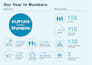 create a top quality professional infographic design