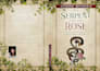 design a professional book cover