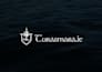 design a professional and beautiful logo