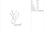 do embroidery digitizing design into dst pes jef file in 1 hour