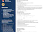 make infographic resume design, graphic design,  cv making