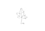 draw one line art