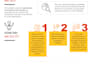 create a top quality professional infographic design