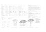 draw 2d floor plan in autocad