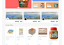 build branded shopify store or dropshipping ecommerce store
