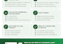 design a premium infographic