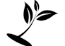 redraw, vectorize, convert logo or graphic to vector