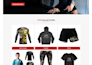 design a professional wordpress website tailored to your business