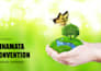 do research and prepare course lectures on all topics
