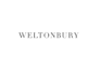 create your logo design and brand identity