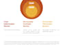 design professional indesign documents like cvs, portfolios, magazines, ,,,