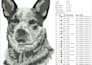 do embroidery digitizing into dst, pes, vp3, jef, exp, in 2 hour