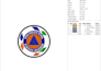 do professional logo embroidery digitizing with 3d puff to dst pes emb