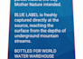 design amazing flyer or poster