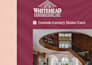design brochure, flyer, proposal for your business