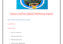 do complete monthly onpage SEO package service as manager expert or specialist