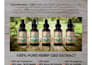 do pro editorial design, brochure, layout, or presentation