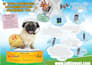 design the best creative flyer brochure leaflet poster invitaion