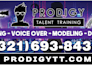 design professional car magnets for your business