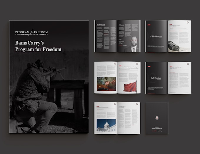 design professional business proposal or company profile