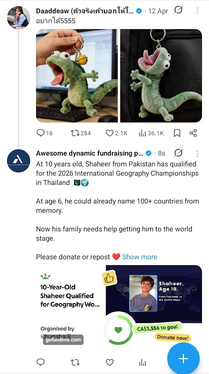 create and promote gofundme, kickstarter, indiegogo
