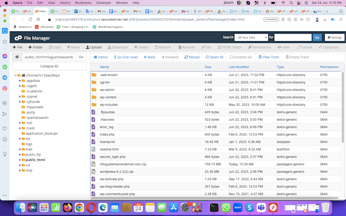 transfer websites, wordpress,ecommerce sites