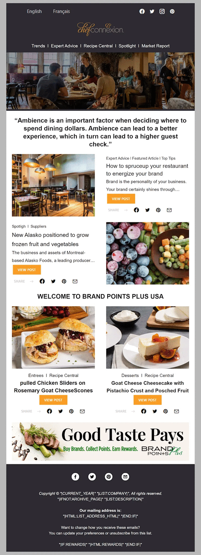mailchimp newsletter template,mailchimp email template