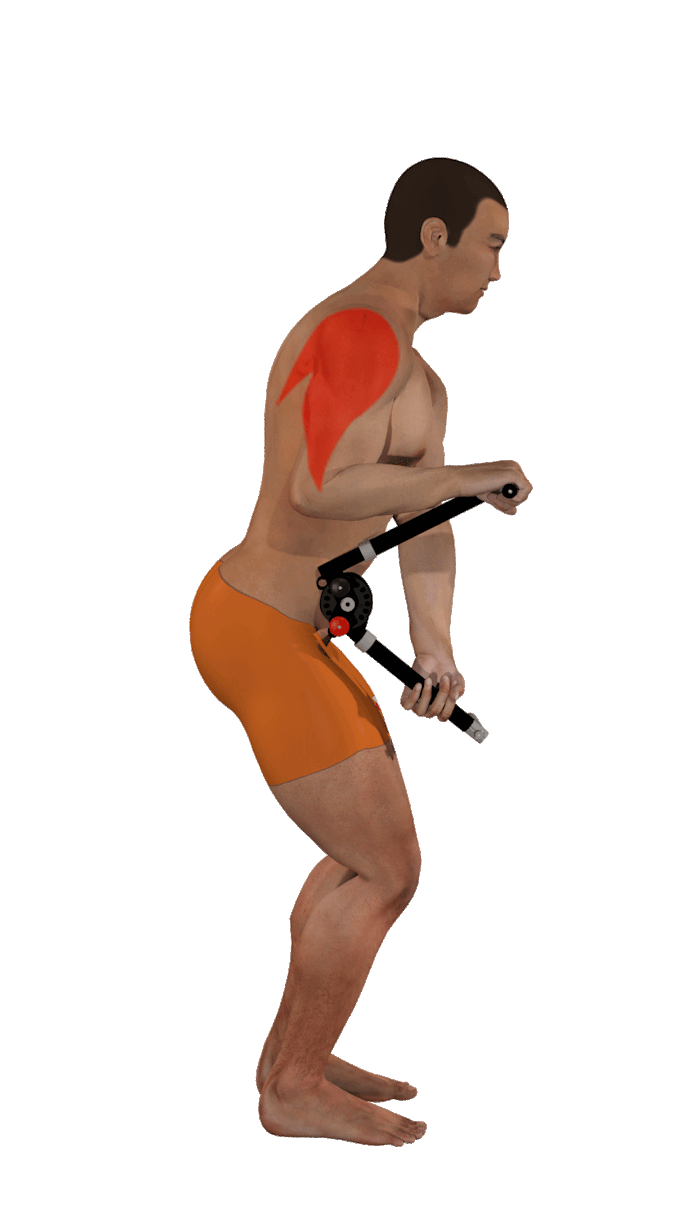 make 3d animations for body exercise
