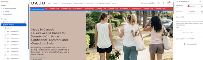 edit or fix html css, customize website, wordpress, shopify