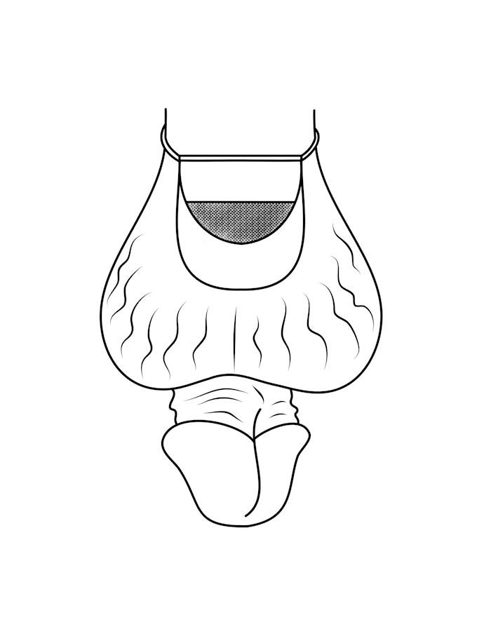 draw detailed medical illustrations
