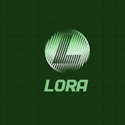 lora624