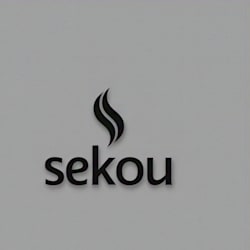 sekoukeita1