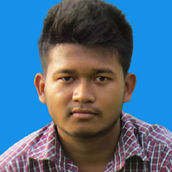 dvsumon
