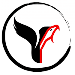 web_dev004
