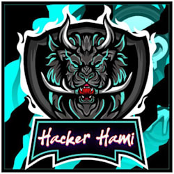 hk_hami