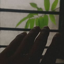 fairy_100