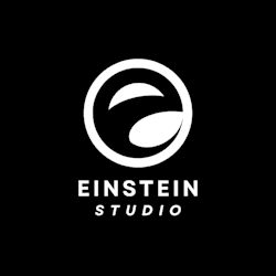 einsteinstud431