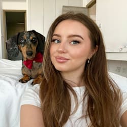 hadleythedachs