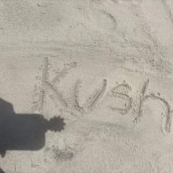bushkush123