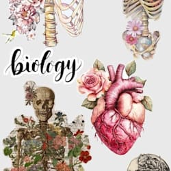 biodiagram_lopa