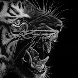 nikilson_art