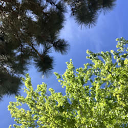 eden_f_